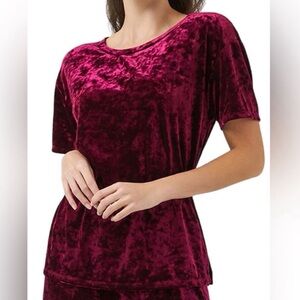 NWT 89th & Madison Burgundy Velvet Short Sleeve Top